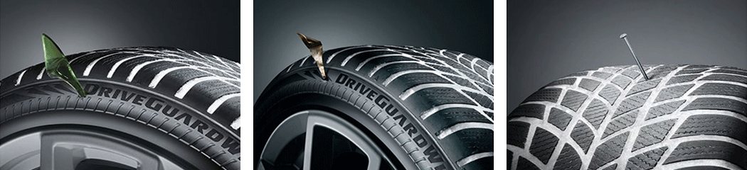 Bridgestone DriveGuard Winter
