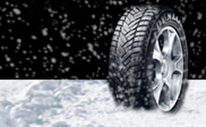 Dunlop Grandtrek WT M3