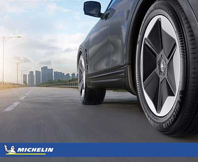 MICHELIN e.Primacy 2