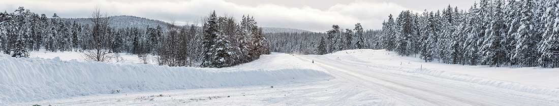 Nexen Winguard-Snow-G3 Nexen Winguard-Snow-G3