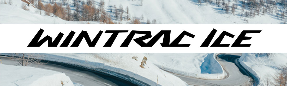 Vredestein_Wintrac_ICE_Logo