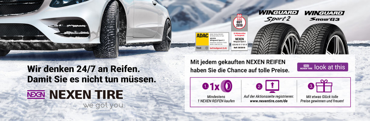 Banner Nexen Winter Promo